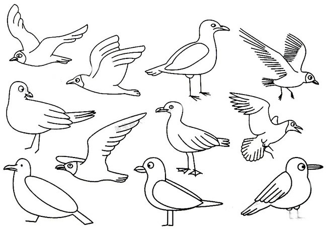 海鸥简笔画的画法步骤_幼儿学画海鸥如何画教程