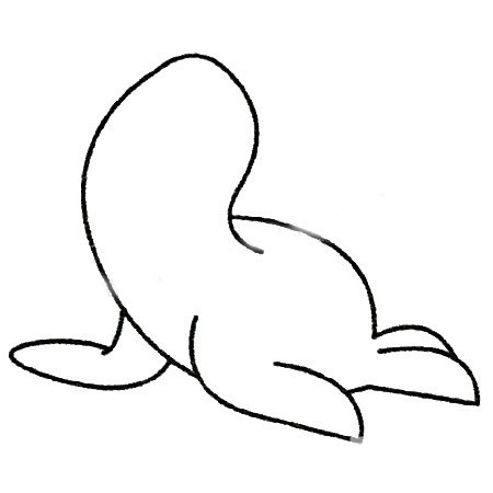 海豹简笔画的画法步骤_幼儿学画海豹如何画教程