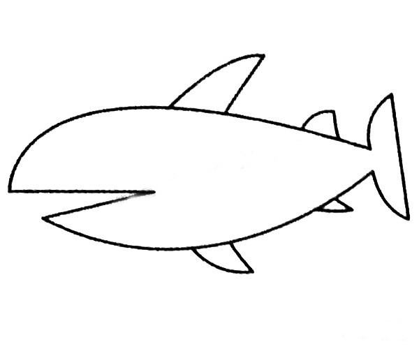 13款鲨鱼简笔画图片大全 鲨鱼简笔画的画法步骤教程
