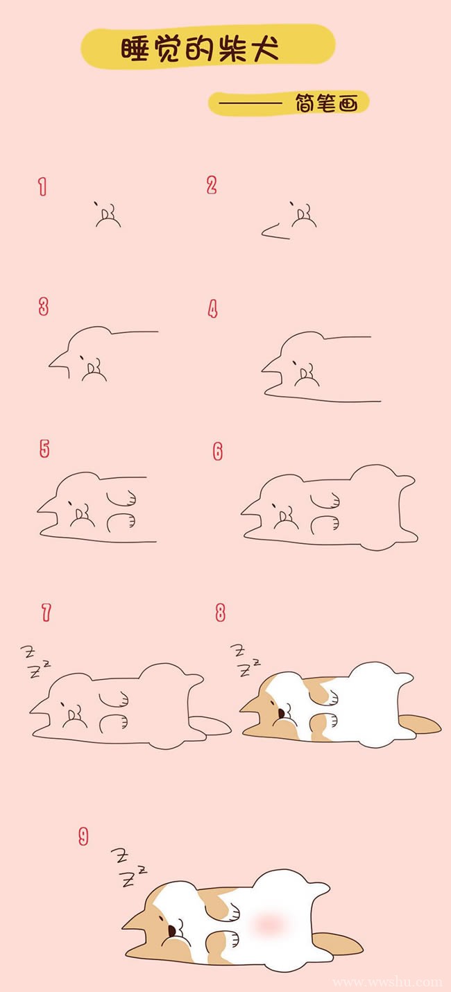 【柴犬简笔画】睡觉的柴犬简笔画的画法步骤教程