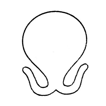 简单章鱼简笔画图片_海洋生物章鱼简笔画的画法步骤教程