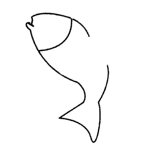 飞鱼简笔画图片大全_飞鱼简笔画的画法步骤教程