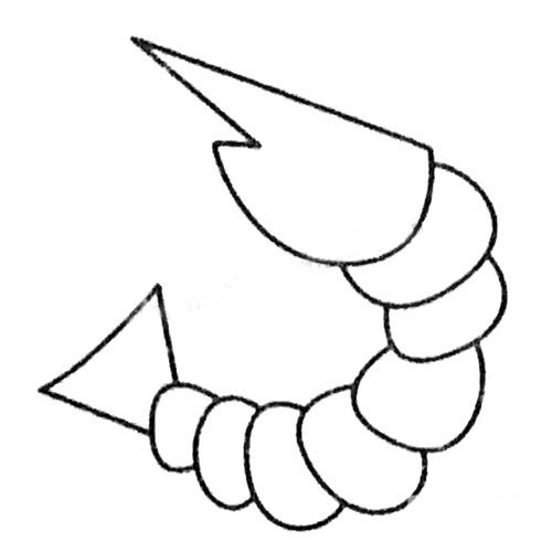 各种虾的简笔画图片大全_虾的简笔画画法步骤教程