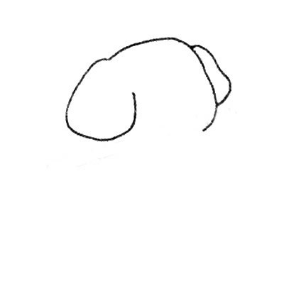 【害羞的大象简笔画】儿童学画害羞的大象简笔画画法步骤教程