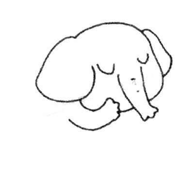【害羞的大象简笔画】儿童学画害羞的大象简笔画画法步骤教程