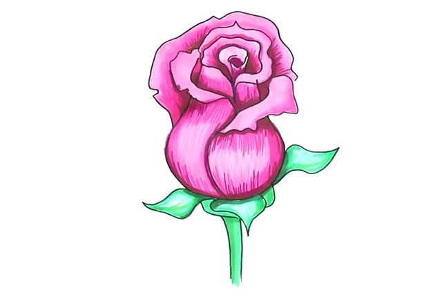 简单几步学画漂亮的粉色玫瑰花简笔画教程步骤图