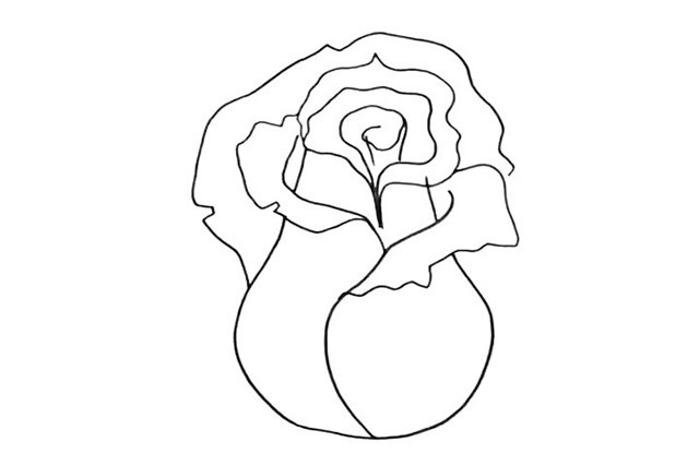 简单几步学画漂亮的粉色玫瑰花简笔画教程步骤图
