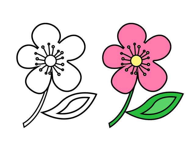 10种不同花朵简笔画 抽点时间陪孩子一起画吧