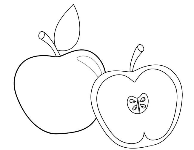 苹果简笔画 切开的苹果简笔画图片