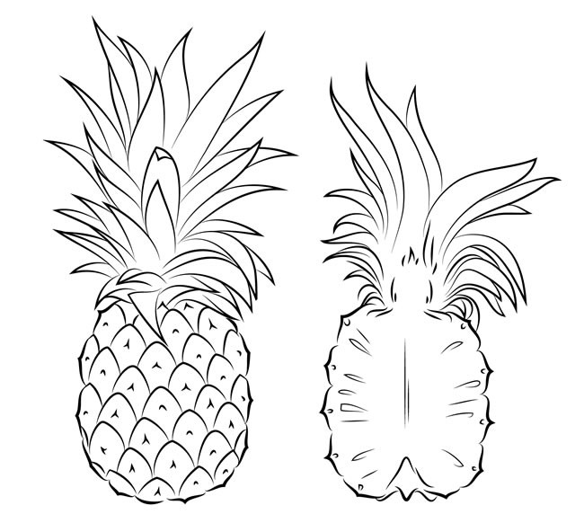 5款菠萝简笔画图片大全 各种菠萝简笔画的画法图片
