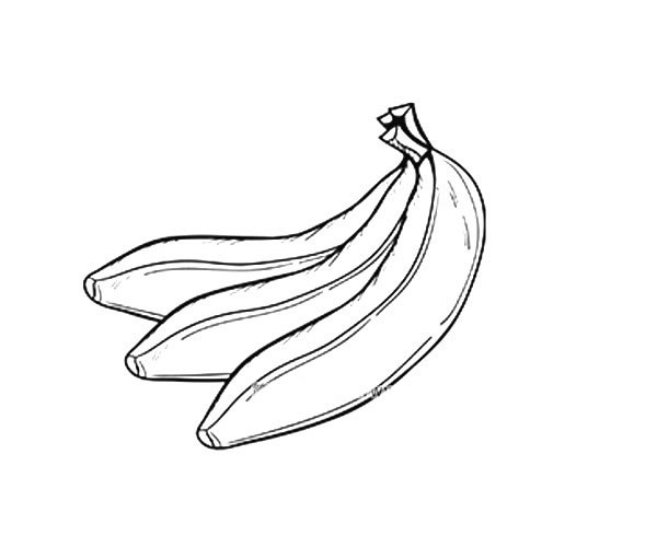 一把漂亮的香蕉简笔画图片 香蕉如何画