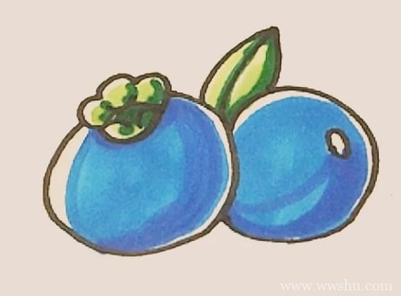 蓝莓简笔画的画法步骤图教程