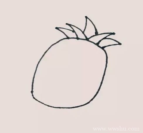 水彩画菠萝画法 菠萝简笔画步骤图解教程