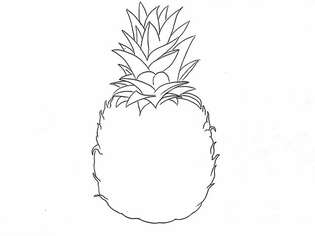 彩色菠萝简笔画画法步骤图片教程