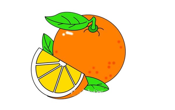 橙子如何画简单又漂亮图片 橙子简笔画步骤图解教程