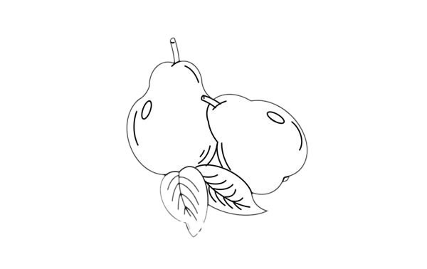 梨子如何画简单又漂亮 漂亮的梨子简笔画步骤图解教程