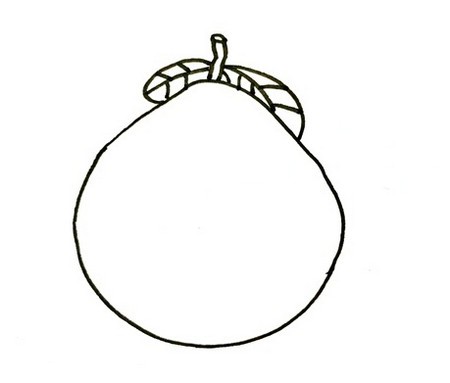 柚子如何画简笔画简单又漂亮