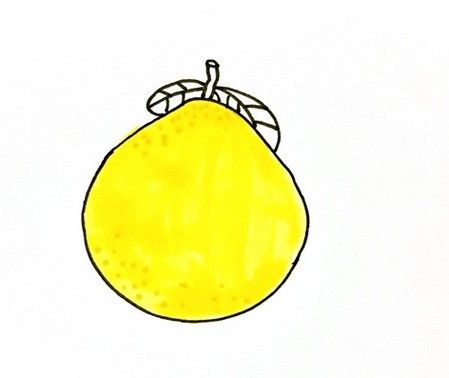 柚子如何画简笔画简单又漂亮