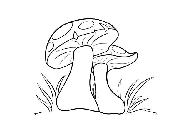 蘑菇简笔画图片 蔬菜蘑菇简笔画图片大全