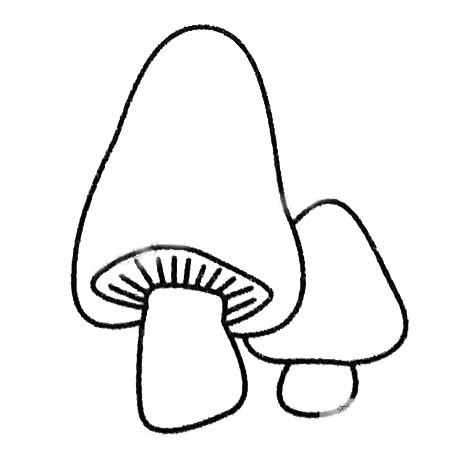 幼儿学画简单的小蘑菇简笔画图片大全