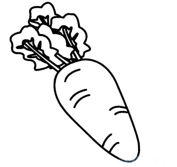 【简笔画胡萝卜的画法】三种不同的胡萝卜简笔画图片