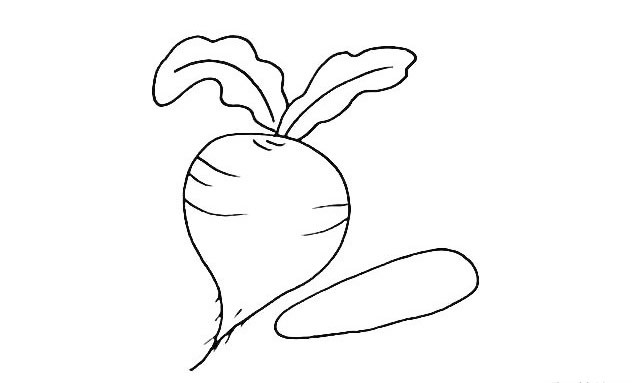 萝卜简笔画 萝卜的简笔画画法步骤图解教程