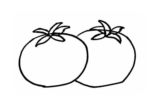 简单五步画出西红柿简笔画步骤图教程