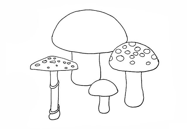 一组蘑菇简笔画画法步骤图解教程