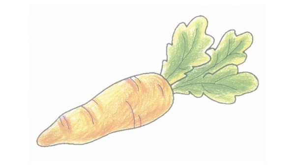 胡萝卜简笔画的画法步骤图教程