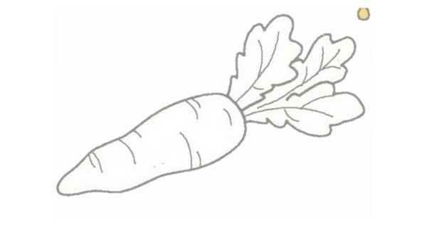 胡萝卜简笔画的画法步骤图教程