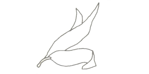 玉米简笔画的画法步骤图教程