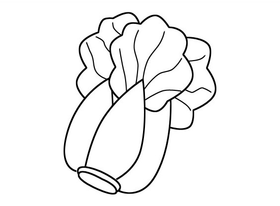 超简单的大白菜简笔画画法图片