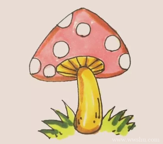 彩色蘑菇简笔画带颜色步骤图解教程