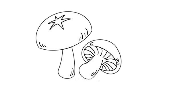 香菇简笔画的画法步骤教程