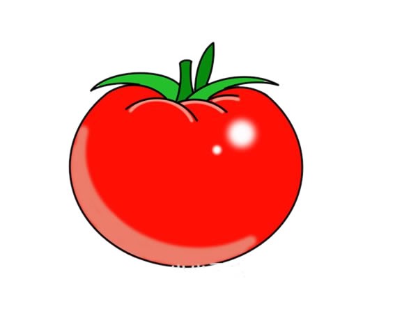 番茄简笔画图片 彩色画法 步骤图解教程