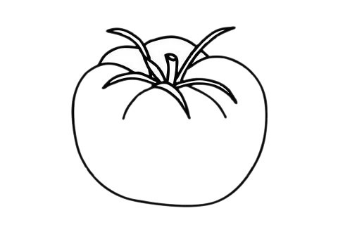 西红柿如何画简单又漂亮图片 西红柿简笔画的简单画法