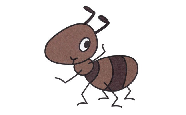小蚂蚁简笔画昆虫 小蚂蚁昆虫简笔画步骤图片大全