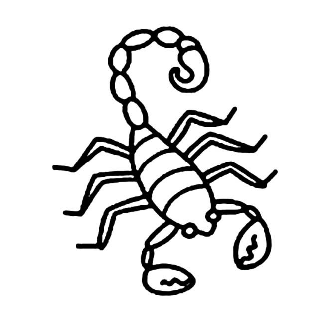 蝎子简笔画昆虫 蝎子昆虫简笔画步骤图片大全八
