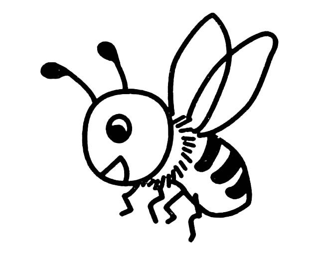 昆虫简笔画大全 可爱小蜜蜂简笔画图片大全7
