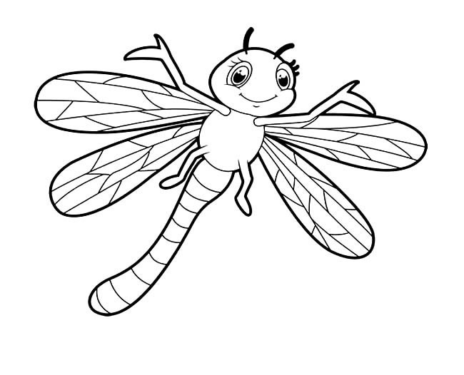 蜻蜓简笔画 卡通蜻蜓简笔画图片