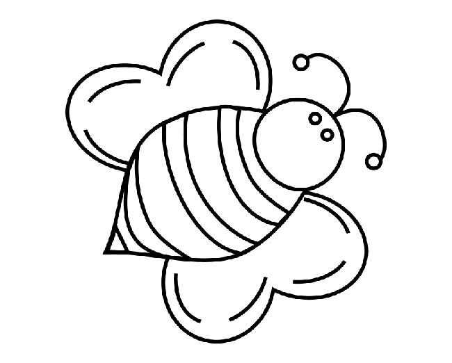 蜜蜂简笔画 可爱的胖蜜蜂简笔画图片