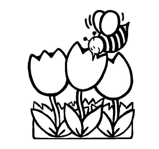 蜜蜂简笔画 采花蜜的蜜蜂简笔画图片