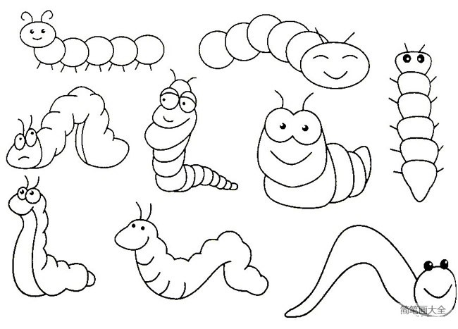 【毛毛虫简笔画】幼儿毛毛虫简笔画的画法步骤教学