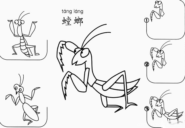 螳螂如何画简笔画图片 昆虫简笔画螳螂的画法步骤图