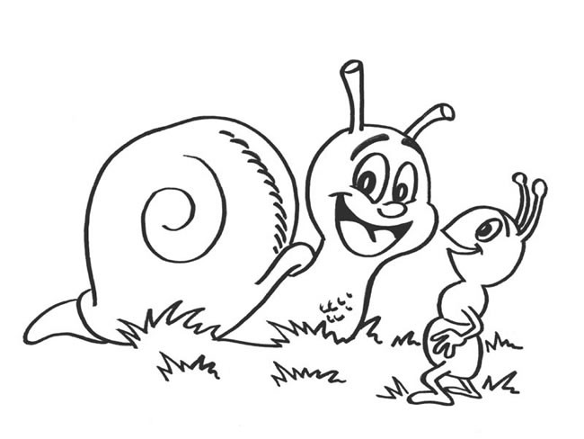 蜗牛和蚂蚁简笔画图片 蜗牛和蚂蚁的故事