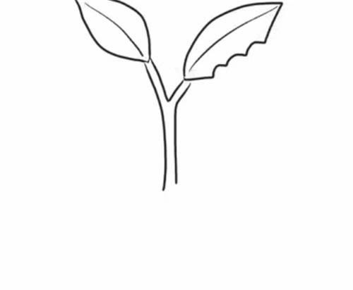 正在吃树叶的虫子简笔画步骤教程 - 吃树叶的毛毛虫简笔画
