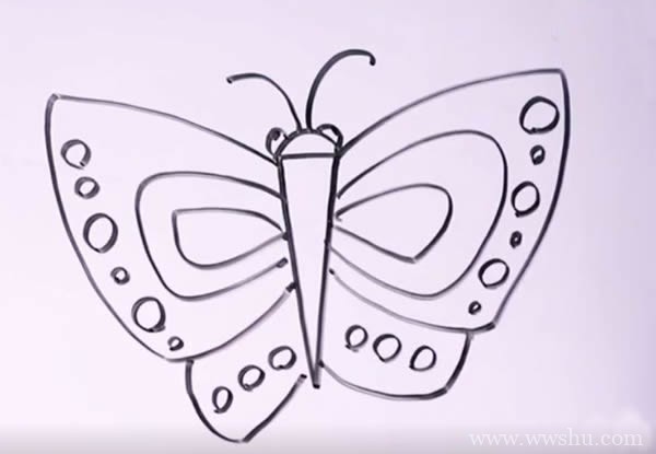 【美丽的蝴蝶简笔画】美丽的蝴蝶简笔画步骤图解教程
