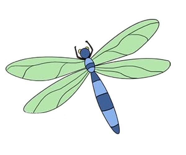 【蜻蜓简笔画】漂亮的蜻蜓简笔画带颜色