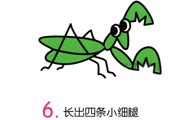 【螳螂简笔画教程】绿色的螳螂简笔画步骤图片大全