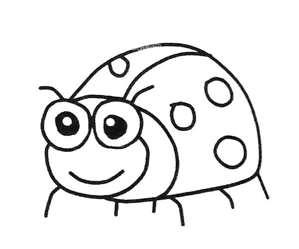 7款卡通七星瓢虫简笔画图片 七星瓢虫的简单画法大全